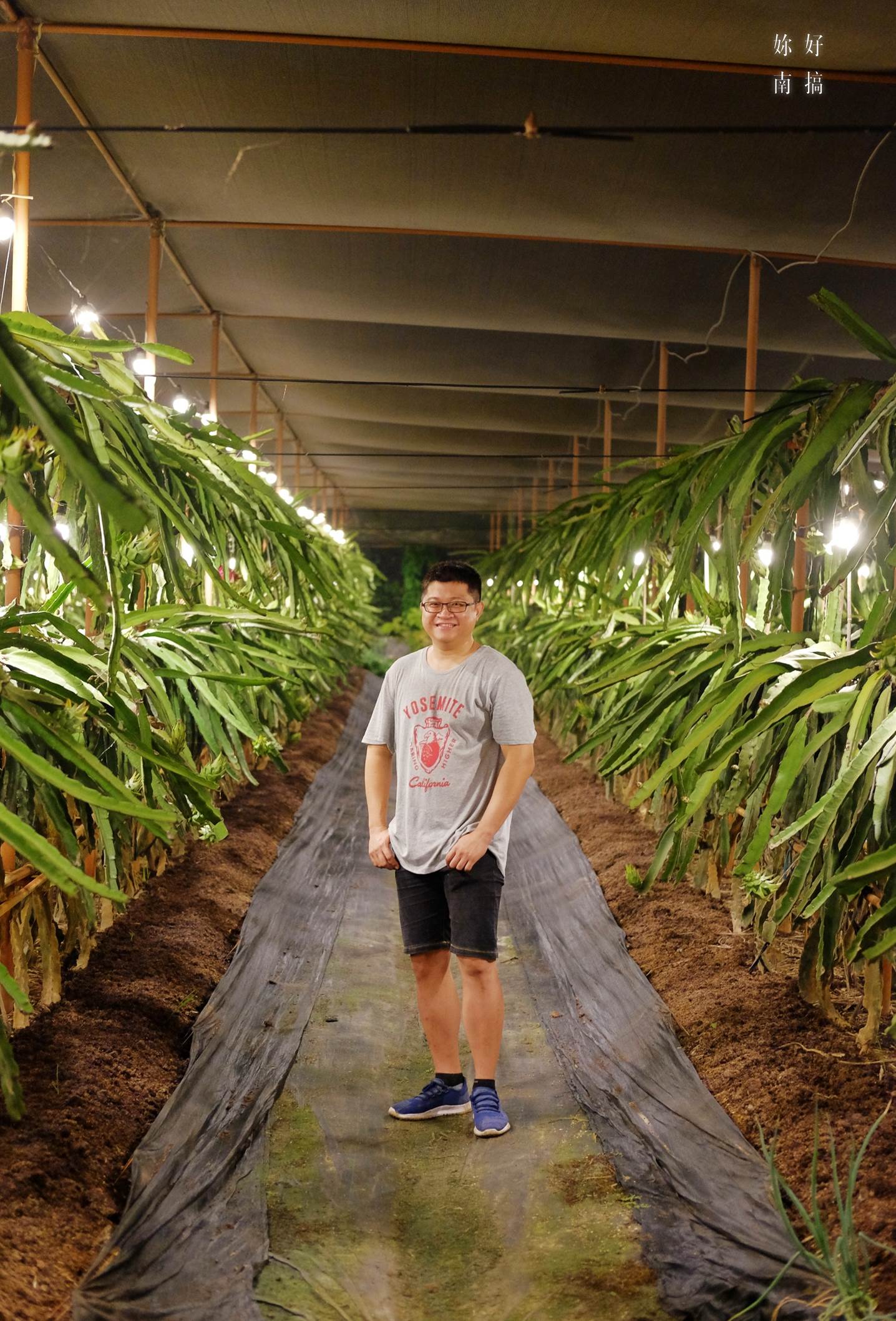 台南好年小農│從工業思維轉農業，造就不簡單風味。